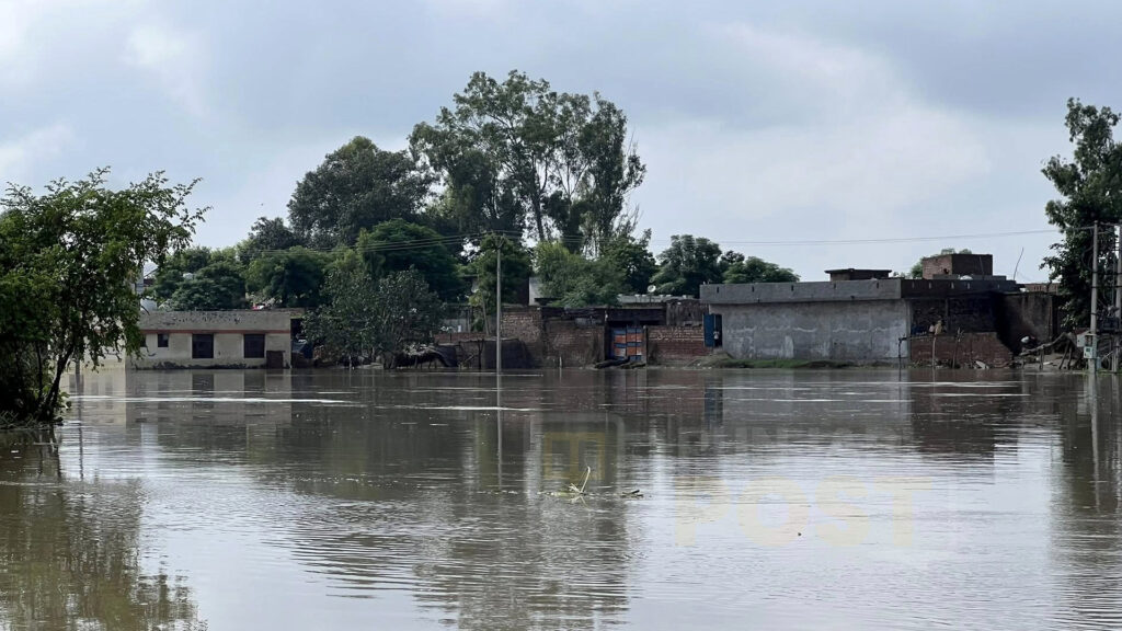 PUNJAB FLOOD