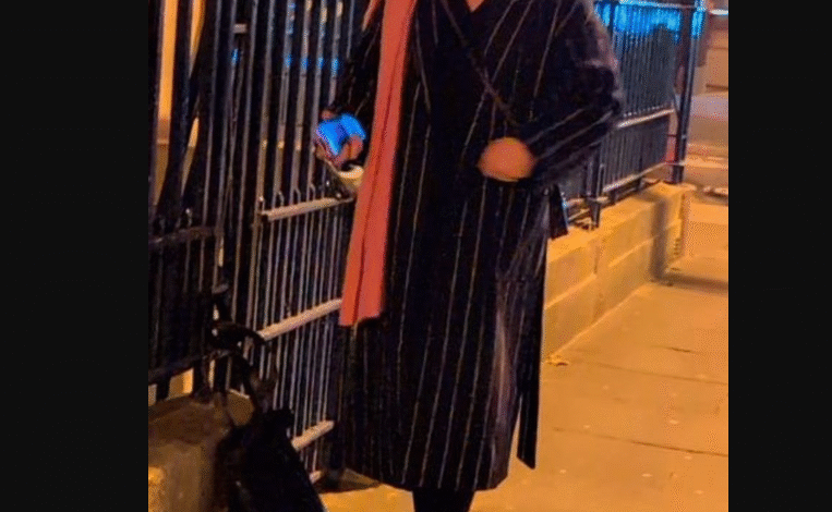 ‘ਗੋ ਬੈਕ ਟੂ ਇੰਡੀਆ’: ਆਇਰਲੈਂਡ ‘ਚ ਭਾਰਤੀ ਔਰਤ ’ਤੇ ਨਸਲੀ ਹਮਲਾ; ਵੀਡੀਓ ਵਾਇਰਲ