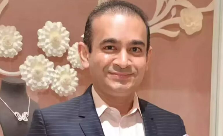 ਨੀਰਵ ਮੋਦੀ ਨੇ ਹਵਾਲਗੀ ਟਰਾਇਲ ਮੁੜ ਖੋਲ੍ਹਣ ਸਬੰਧੀ ਪਟੀਸ਼ਨ ਦਾਇਰ ਕੀਤੀ