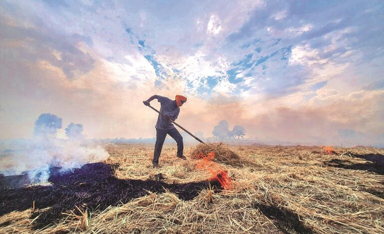 Air Pollution: ਦਿੱਲੀ ਅਣਮਿੱਥੇ ਸਮੇਂ ਲਈ ਪਾਬੰਦੀਆਂ ਹੇਠ ਨਹੀਂ ਰਹਿ ਸਕਦੀ: ਲੰਬੇ ਸਮੇਂ ਦੇ ਹੱਲ ਦੀ ਲੋੜ: ਸੁਪਰੀਮ ਕੋਰਟ