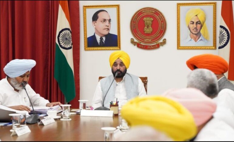 ਮੁੱਖ ਮੰਤਰੀ ਦੇ ਹੈਲੀਕਾਪਟਰ ਦੀ ਵਰਤੋਂ ਬਾਰੇ ਸੋਸ਼ਲ ਮੀਡੀਆ ਪੋਸਟ ਨੂੰ ਲੈ ਕੇ ਦਰਜ ਕੇਸ ਦੀ ਜਾਂਚ ’ਤੇ ਰੋਕ