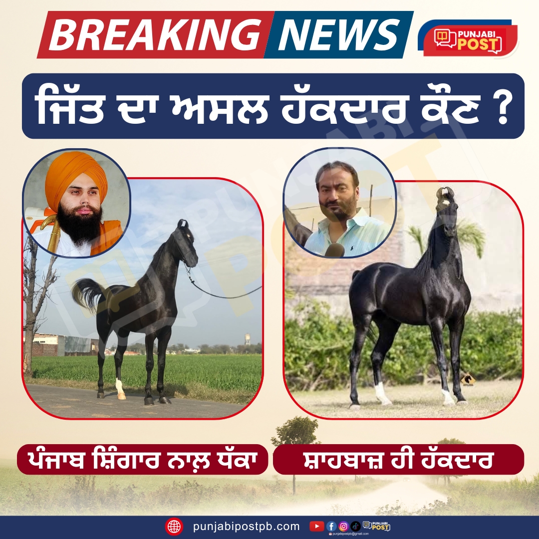 punjab shingar