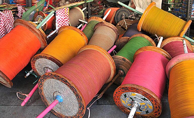 ਬਠਿੰਡਾ ਦੇ ਪਿੰਡ ਭੈਣੀ ਚੂਹੜ ਸਿੰਘ ’ਚ ਪਤੰਗ ਉਡਾਣ ’ਤੇ ਪਾਬੰਦੀ