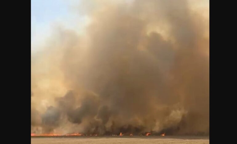 ਮੁਕਤਸਰ ਅਤੇ ਫਾਜ਼ਿਲਕਾ ਦੇ ਪਿੰਡਾਂ ਵਿੱਚ ਲਗਪਗ 250 ਏਕੜ ‘ਚ ਖੜ੍ਹੀ ਕਣਕ ਦੀ ਫ਼ਸਲ ਅੱਗ ਨਾਲ ਸੜ ਕੇ ਸੁਆਹ