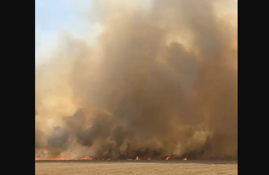 ਮੁਕਤਸਰ ਅਤੇ ਫਾਜ਼ਿਲਕਾ ਦੇ ਪਿੰਡਾਂ ਵਿੱਚ ਲਗਪਗ 250 ਏਕੜ ‘ਚ ਖੜ੍ਹੀ ਕਣਕ ਦੀ ਫ਼ਸਲ ਅੱਗ ਨਾਲ ਸੜ ਕੇ ਸੁਆਹ