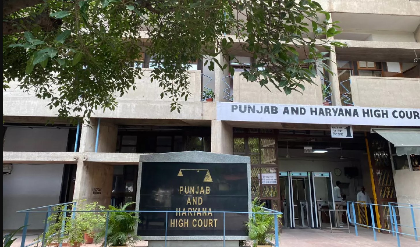 High Court ਨੇ ਮਜੀਠਾ ਦੇ Jobanpreet ਨੂੰ ਰਿਹਾਅ ਕਰਨ ਦੇ ਦਿੱਤੇ ਹੁਕਮ