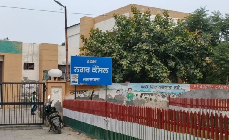 Jalalabad MC Elections: ‘ਆਪ’ ਨੇ 12, ਕਾਂਗਰਸ ਨੇ 4 ਅਤੇ ਅਕਾਲੀ ਦਲ ਨੇ ਜਿੱਤੀ 1 ਸੀਟ