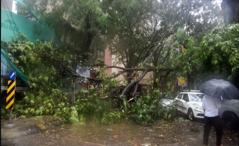 India Monsoon Havoc: ਮਹਾਰਾਸ਼ਟਰ ਵਿੱਚ ਮੌਨਸੂਨ ਬਣੀ ਆਫ਼ਤ; 3 ਹਲਾਕ