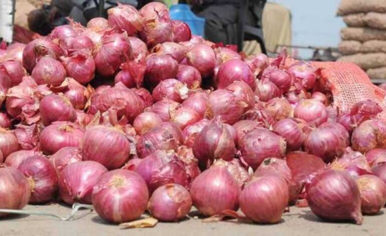 Onion Price Hike: ਪਿਆਜ਼ ਦੀਆਂ ਕੀਮਤਾਂ ਵਧੀਆਂ; ਕਈ ਸ਼ਹਿਰਾਂ ’ਚ 60 ਰੁਪਏ ਤੋਂ ਪਾਰ