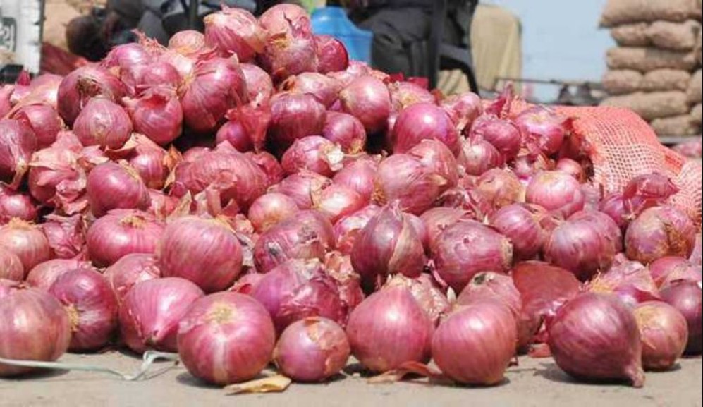 Onion Price Hike: ਪਿਆਜ਼ ਦੀਆਂ ਕੀਮਤਾਂ ਵਧੀਆਂ; ਕਈ ਸ਼ਹਿਰਾਂ ’ਚ 60 ਰੁਪਏ ਤੋਂ ਪਾਰ